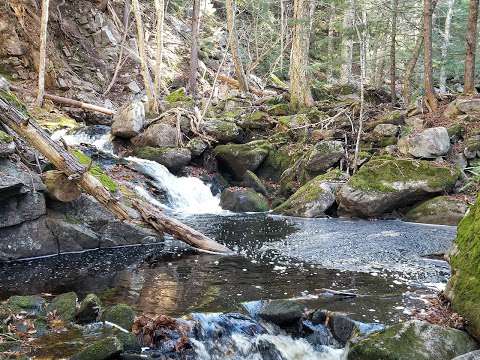 Lawrencetown Falls